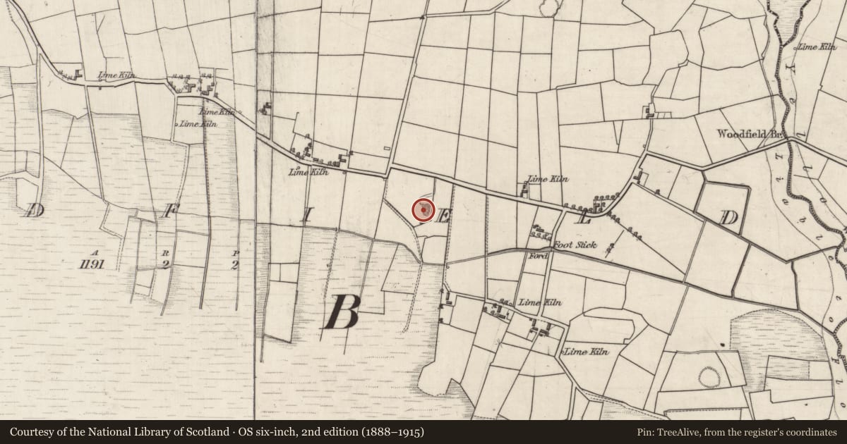 Ordnance Survey six-inch map, 2nd edition (1888–1915) covering the location of Quarry, Woodfield, County Galway, with a pin at the register's coordinates