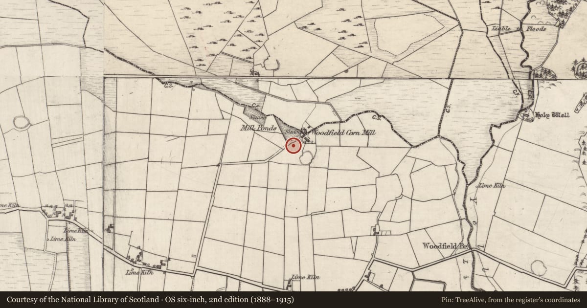 Ordnance Survey six-inch map, 2nd edition (1888–1915) covering the location of Burial, Woodfield, County Galway, with a pin at the register's coordinates