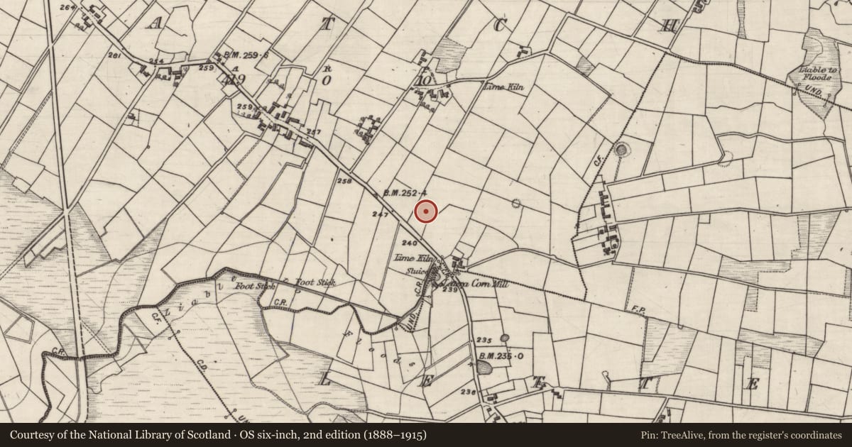 Ordnance Survey six-inch map, 2nd edition (1888–1915) covering the location of Children's burial ground, Patch, County Galway, with a pin at the register's coordinates