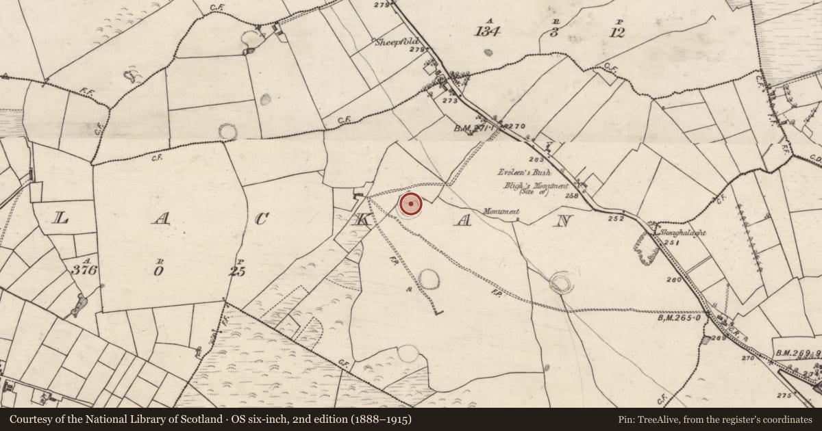 Ordnance Survey six-inch map, 2nd edition (1888–1915) covering the location of Enclosure, Corlackan (Ballymoe By., Kilbegnet Par.), County Galway, with a pin at the register's coordinates