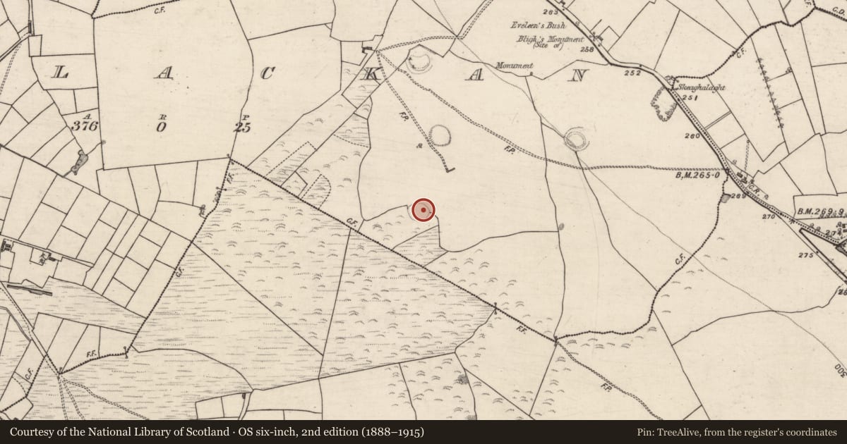 Ordnance Survey six-inch map, 2nd edition (1888–1915) covering the location of Ringfort - rath, Corlackan (Ballymoe By., Kilbegnet Par.), County Galway, with a pin at the register's coordinates