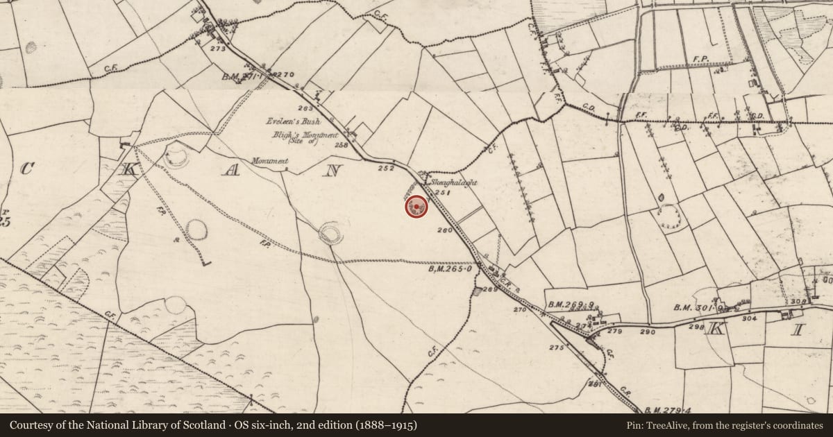Ordnance Survey six-inch map, 2nd edition (1888–1915) covering the location of Quarry, Corlackan (Ballymoe By., Kilcroan Par.), County Galway, with a pin at the register's coordinates