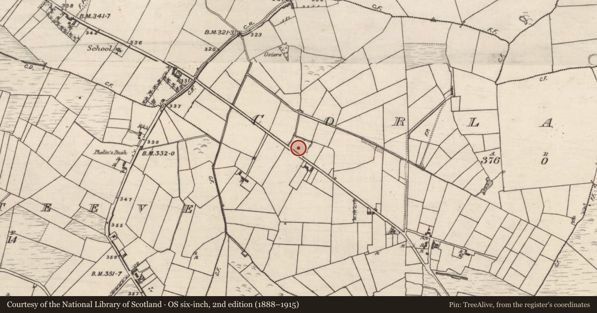 Ordnance Survey six-inch map, 2nd edition (1888–1915) covering the location of Quarry, Corlackan (Ballymoe By., Kilcroan Par.), County Galway, with a pin at the register's coordinates