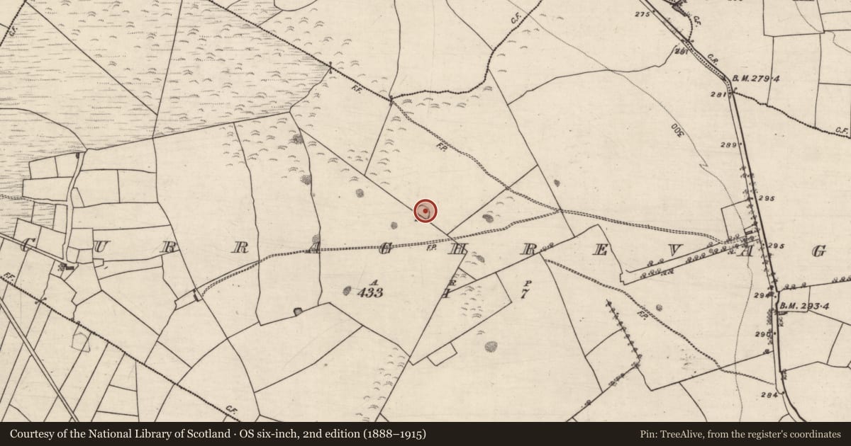 Ordnance Survey six-inch map, 2nd edition (1888–1915) covering the location of Ringfort - rath, Curraghrevagh, County Galway, with a pin at the register's coordinates