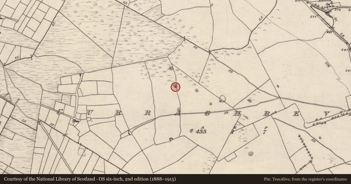Ordnance Survey six-inch map, 2nd edition (1888–1915) covering the location of Quarry, Curraghrevagh, County Galway, with a pin at the register's coordinates