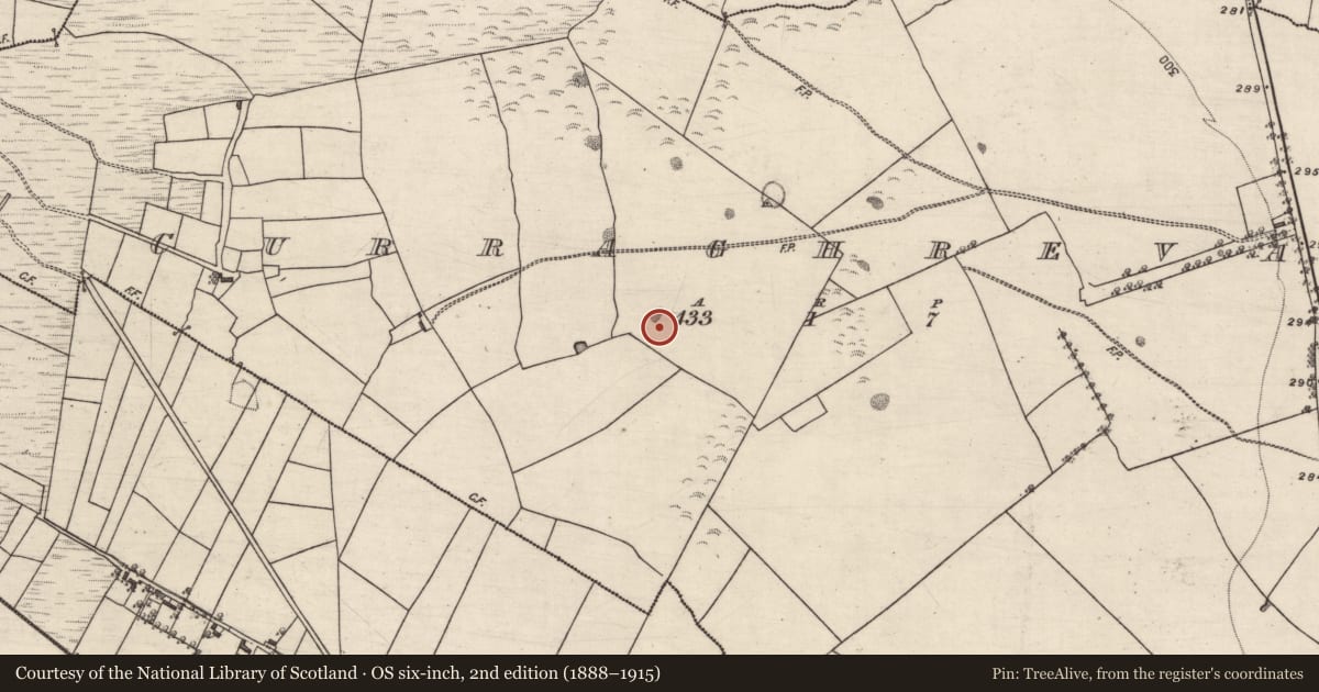 Ordnance Survey six-inch map, 2nd edition (1888–1915) covering the location of Quarry, Curraghrevagh, County Galway, with a pin at the register's coordinates