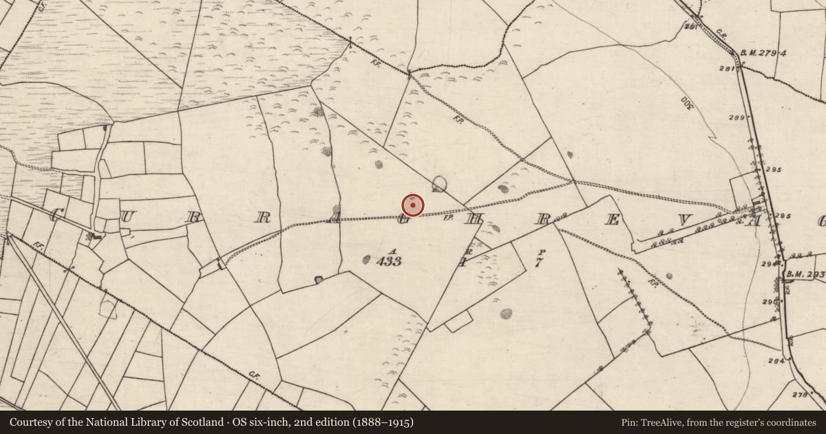 Ordnance Survey six-inch map, 2nd edition (1888–1915) covering the location of Quarry, Curraghrevagh, County Galway, with a pin at the register's coordinates