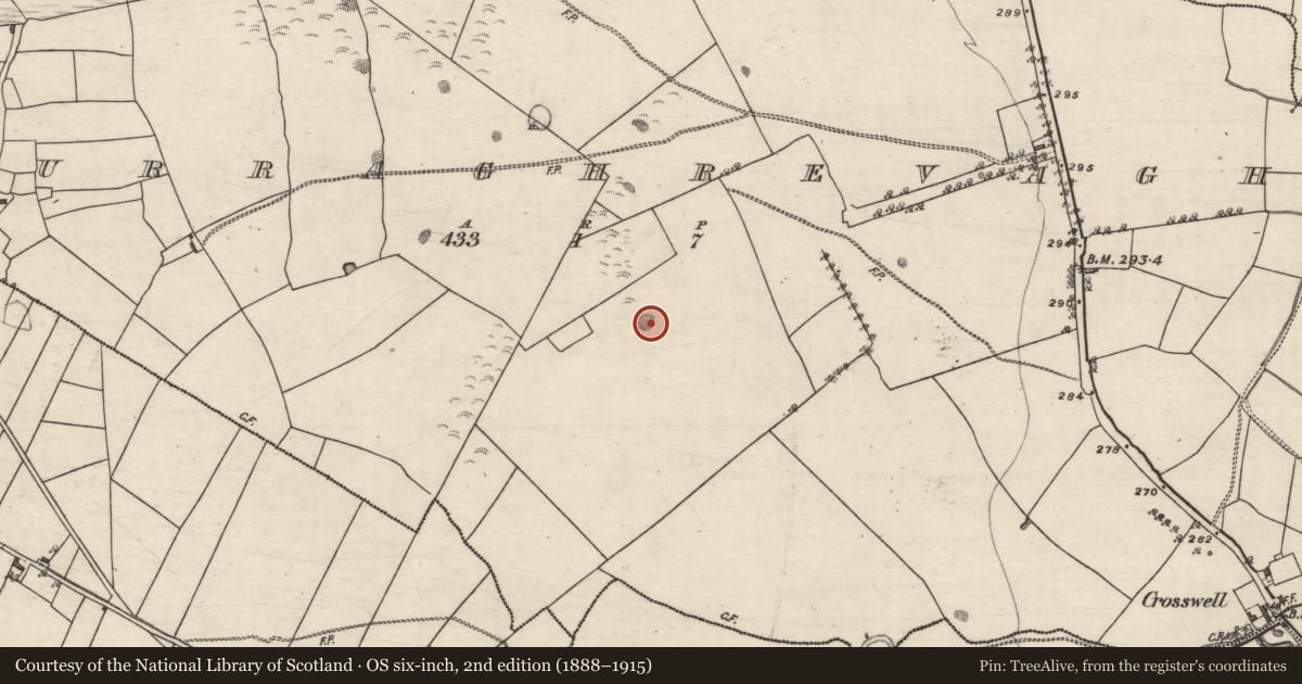 Ordnance Survey six-inch map, 2nd edition (1888–1915) covering the location of Quarry, Curraghrevagh, County Galway, with a pin at the register's coordinates