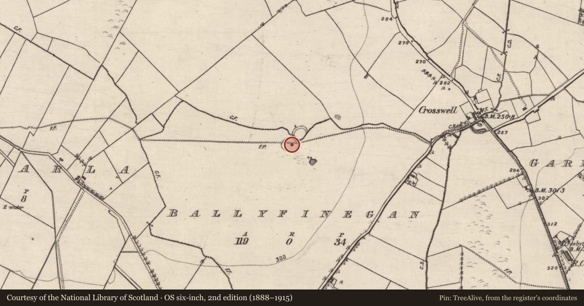 Ordnance Survey six-inch map, 2nd edition (1888–1915) covering the location of Ringfort - rath, Ballyfinegan, Curraghrevagh, County Galway, with a pin at the register's coordinates