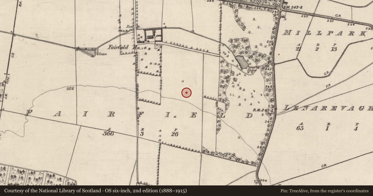 Ordnance Survey six-inch map, 2nd edition (1888–1915) covering the location of Ringfort - rath, Fairfield, County Galway, with a pin at the register's coordinates