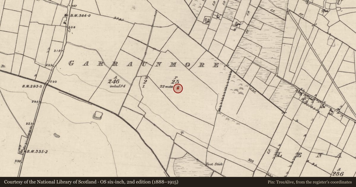 Ordnance Survey six-inch map, 2nd edition (1888–1915) covering the location of Quarry, Garraunmore, County Galway, with a pin at the register's coordinates