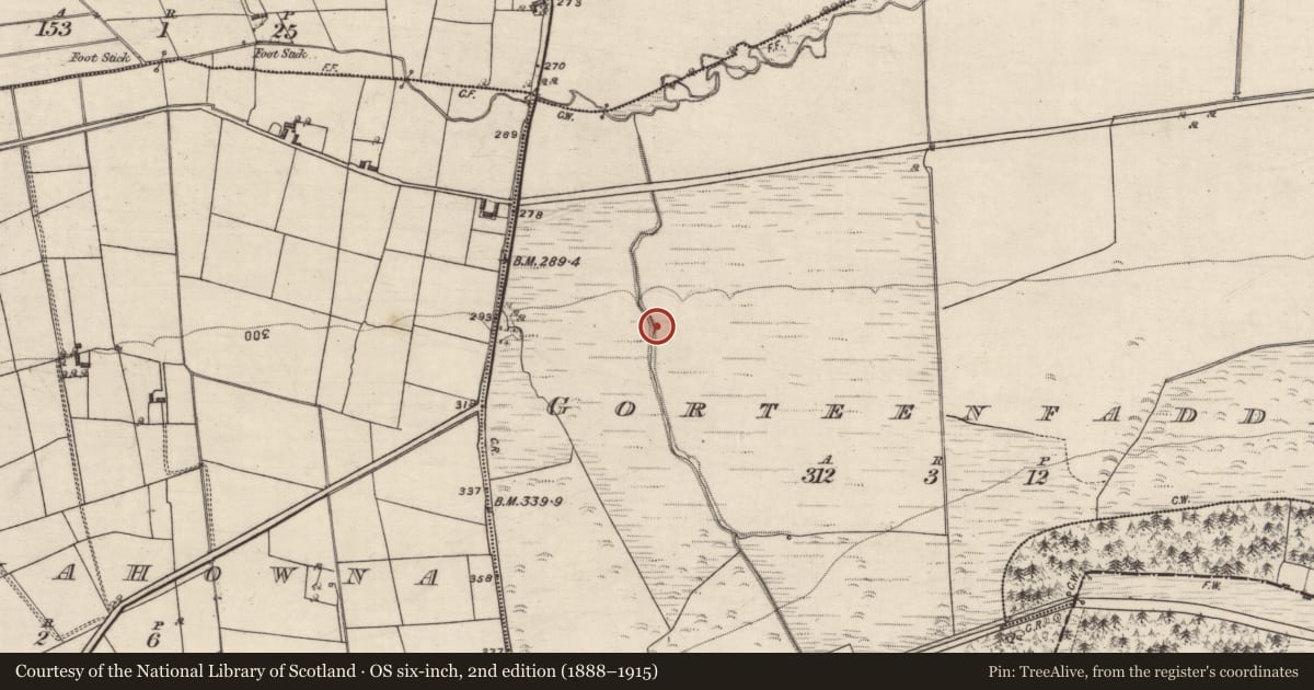 Ordnance Survey six-inch map, 2nd edition (1888–1915) covering the location of Ringfort - unclassified, Gorteenfadda, County Galway, with a pin at the register's coordinates