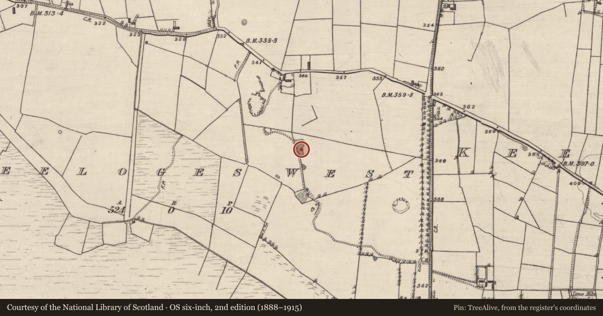 Ordnance Survey six-inch map, 2nd edition (1888–1915) covering the location of Quarry, Keeloges West, County Galway, with a pin at the register's coordinates