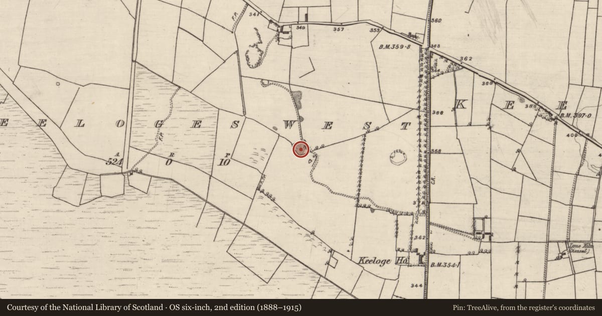 Ordnance Survey six-inch map, 2nd edition (1888–1915) covering the location of Quarry, Keeloges West, County Galway, with a pin at the register's coordinates