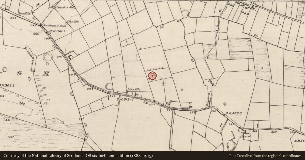 Ordnance Survey six-inch map, 2nd edition (1888–1915) covering the location of Ringfort - rath, Kilcolumb, County Galway, with a pin at the register's coordinates