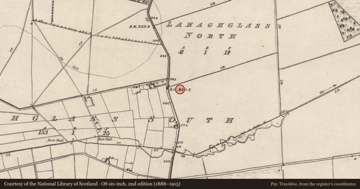 Ordnance Survey six-inch map, 2nd edition (1888–1915) covering the location of Ringfort - rath, Lahaghglass North, Lahaghglass South, County Galway, with a pin at the register's coordinates