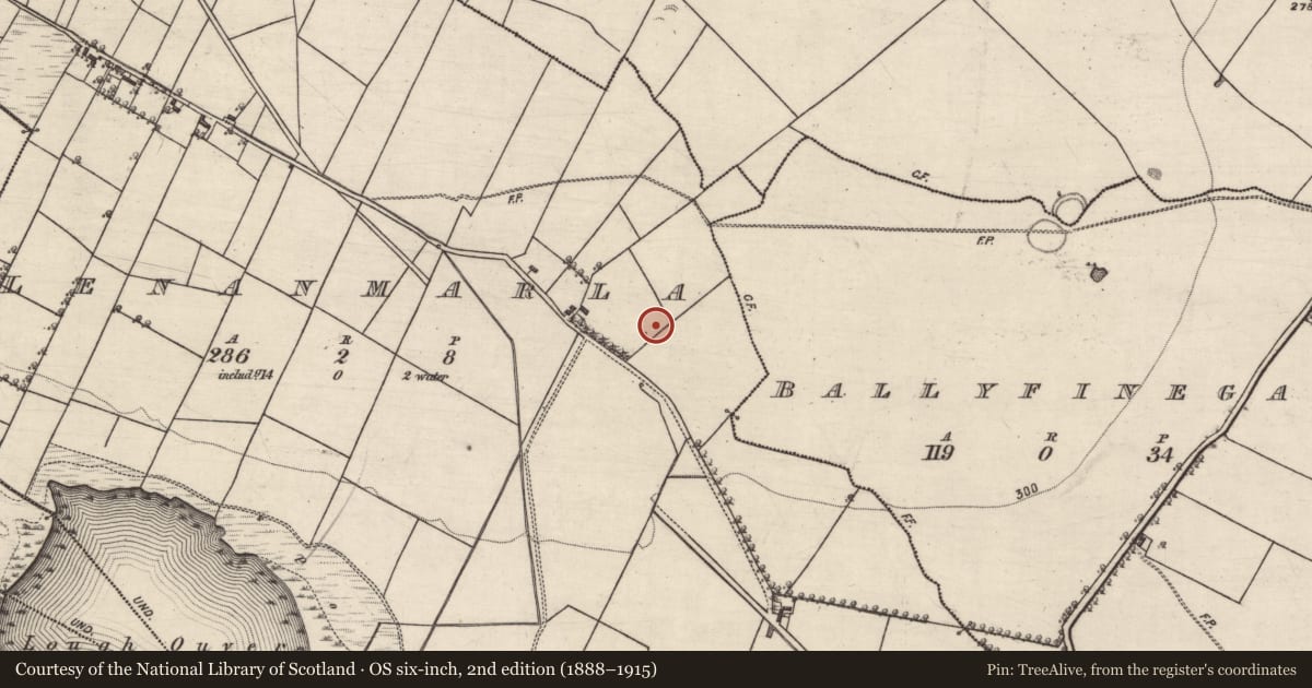 Ordnance Survey six-inch map, 2nd edition (1888–1915) covering the location of Ringfort - rath, Lenanmarla, County Galway, with a pin at the register's coordinates