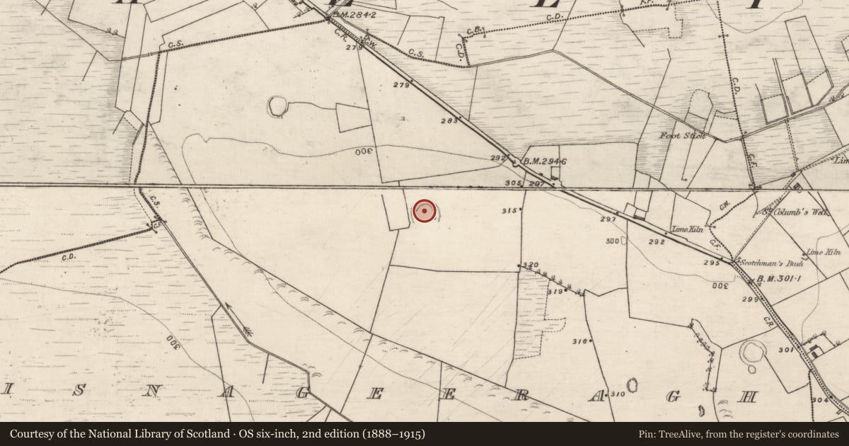 Ordnance Survey six-inch map, 2nd edition (1888–1915) covering the location of Souterrain, Lisnageeragh, County Galway, with a pin at the register's coordinates