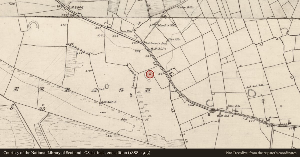 Ordnance Survey six-inch map, 2nd edition (1888–1915) covering the location of Ringfort - rath, Lisnageeragh, County Galway, with a pin at the register's coordinates
