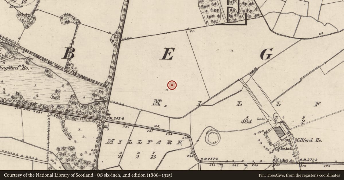 Ordnance Survey six-inch map, 2nd edition (1888–1915) covering the location of Enclosure, Millford, County Galway, with a pin at the register's coordinates
