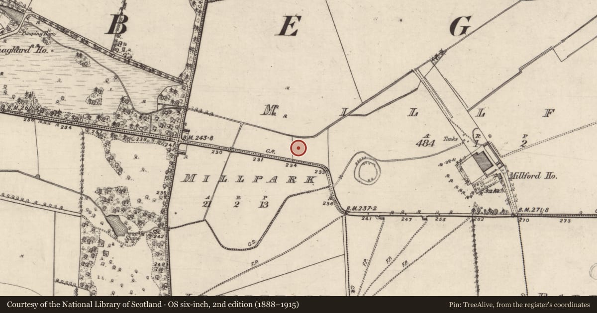 Ordnance Survey six-inch map, 2nd edition (1888–1915) covering the location of Mill - corn, Millford, County Galway, with a pin at the register's coordinates