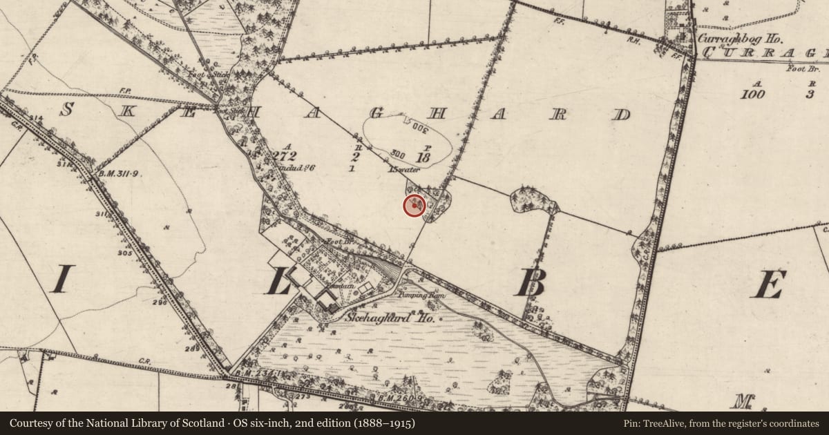 Ordnance Survey six-inch map, 2nd edition (1888–1915) covering the location of Ringfort - rath, Skehaghard, County Galway, with a pin at the register's coordinates