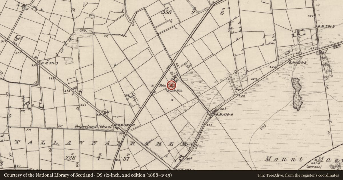 Ordnance Survey six-inch map, 2nd edition (1888–1915) covering the location of Kiln, Tallavnamraher, County Galway, with a pin at the register's coordinates