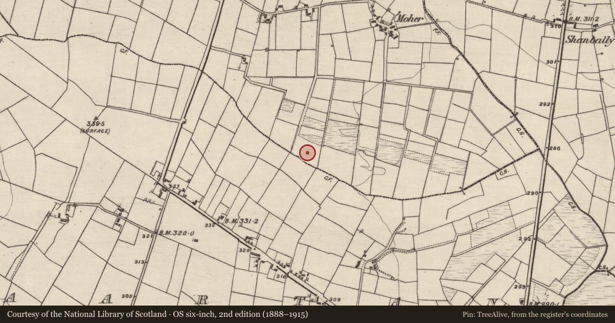 Ordnance Survey six-inch map, 2nd edition (1888–1915) covering the location of Burnt spread, Ballyhard, County Galway, with a pin at the register's coordinates