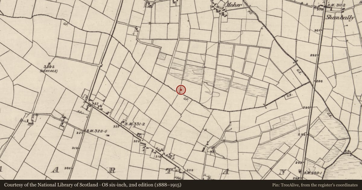 Ordnance Survey six-inch map, 2nd edition (1888–1915) covering the location of Burnt spread, Ballyhard, County Galway, with a pin at the register's coordinates