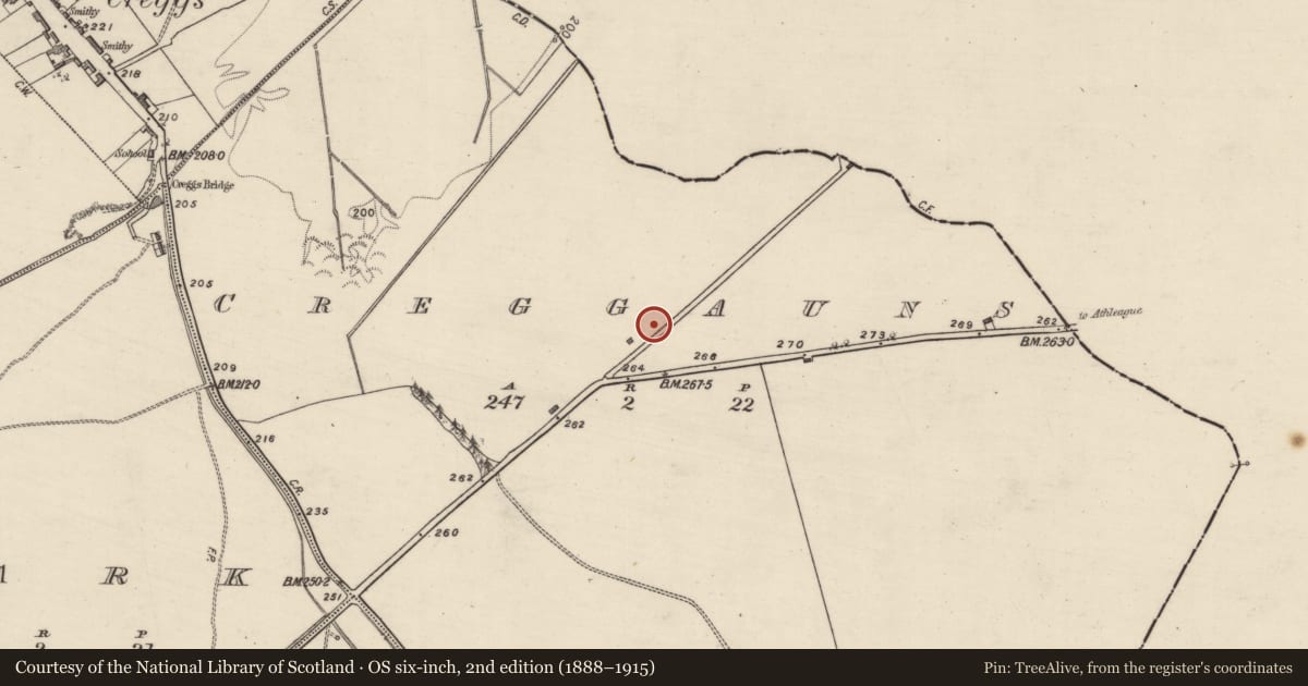 Ordnance Survey six-inch map, 2nd edition (1888–1915) covering the location of Maltings, Creggauns, County Galway, with a pin at the register's coordinates