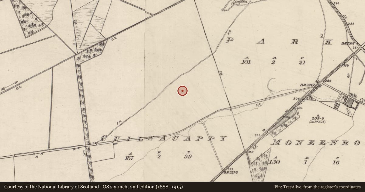 Ordnance Survey six-inch map, 2nd edition (1888–1915) covering the location of Ringfort - unclassified, Cuilnacappy, County Galway, with a pin at the register's coordinates