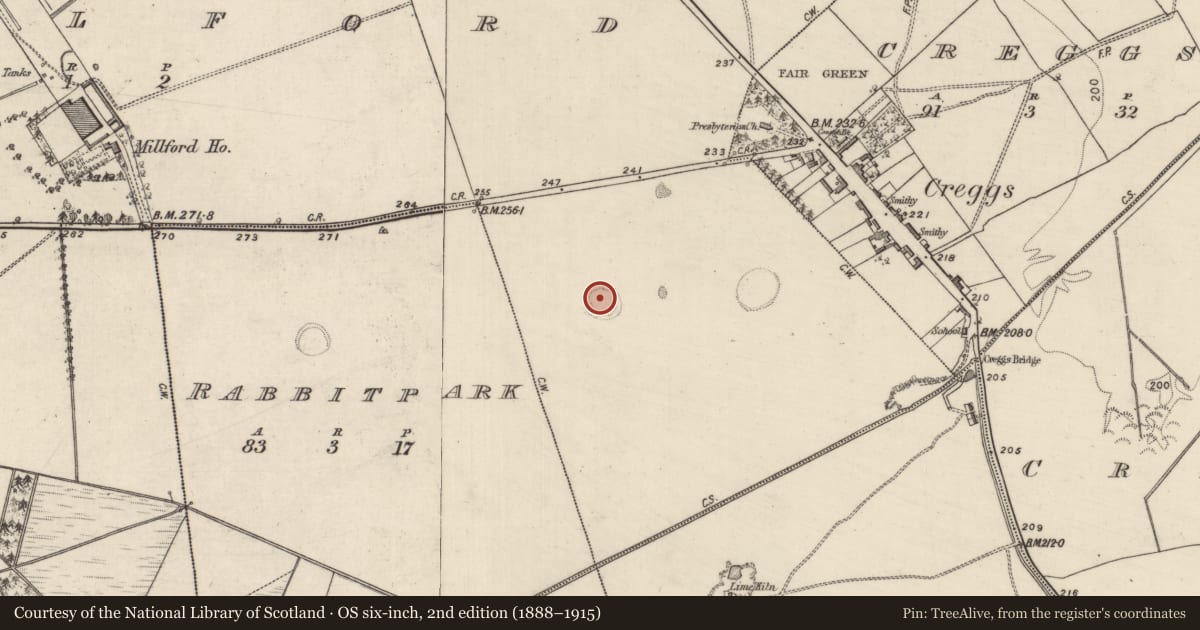 Ordnance Survey six-inch map, 2nd edition (1888–1915) covering the location of Ringfort - unclassified, Millford, County Galway, with a pin at the register's coordinates
