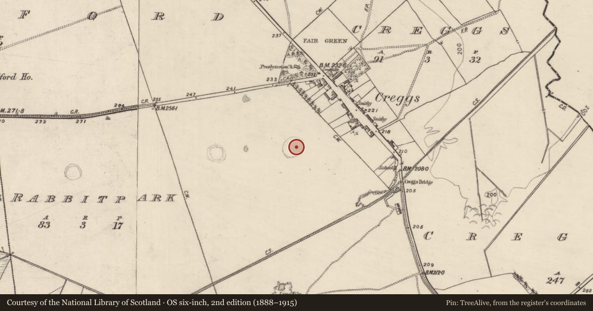 Ordnance Survey six-inch map, 2nd edition (1888–1915) covering the location of Ringfort - rath, Millford, County Galway, with a pin at the register's coordinates