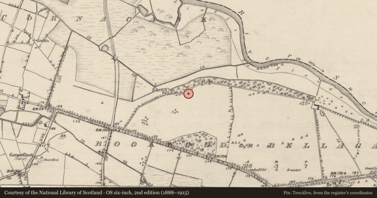 Ordnance Survey six-inch map, 2nd edition (1888–1915) covering the location of Designed landscape feature, Rookwood Or Bellagad, County Galway, with a pin at the register's coordinates