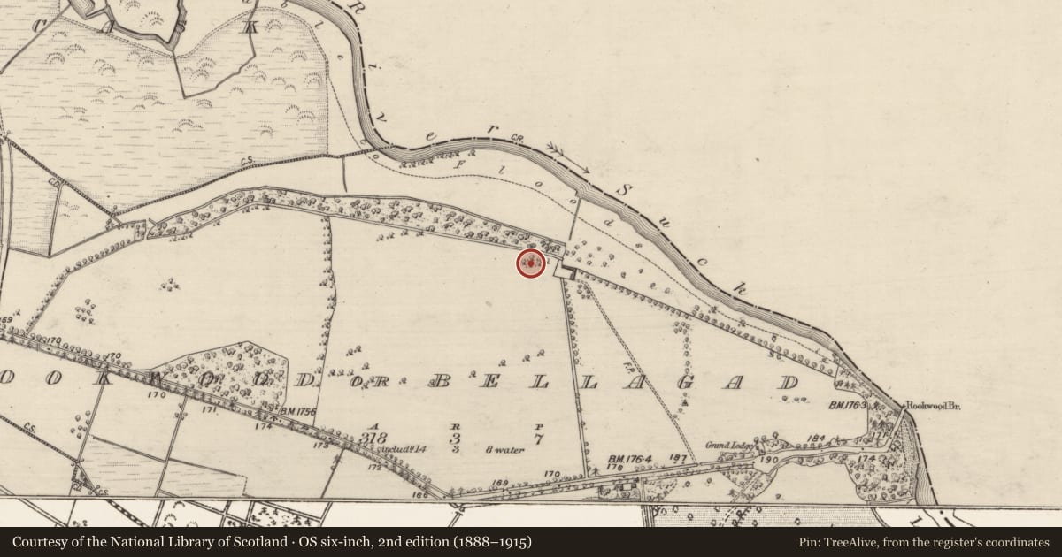 Ordnance Survey six-inch map, 2nd edition (1888–1915) covering the location of Designed landscape feature, Rookwood Or Bellagad, County Galway, with a pin at the register's coordinates
