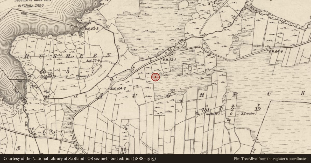 Ordnance Survey six-inch map, 2nd edition (1888–1915) covering the location of Megalithic structure, Aughrus More, County Galway, with a pin at the register's coordinates
