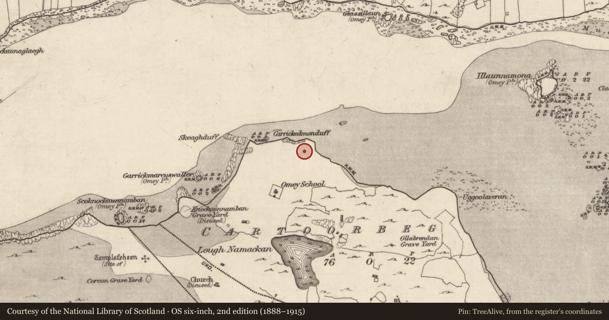 Ordnance Survey six-inch map, 2nd edition (1888–1915) covering the location of Midden, Cartoorbeg, County Galway, with a pin at the register's coordinates