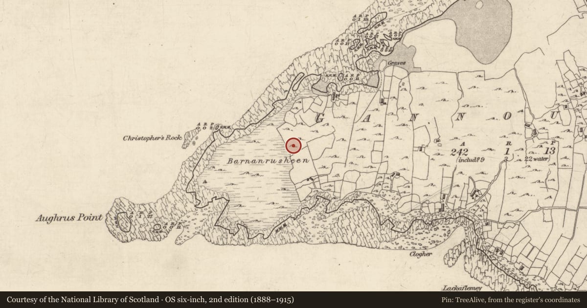 Ordnance Survey six-inch map, 2nd edition (1888–1915) covering the location of Megalithic structure, Gannoughs, County Galway, with a pin at the register's coordinates