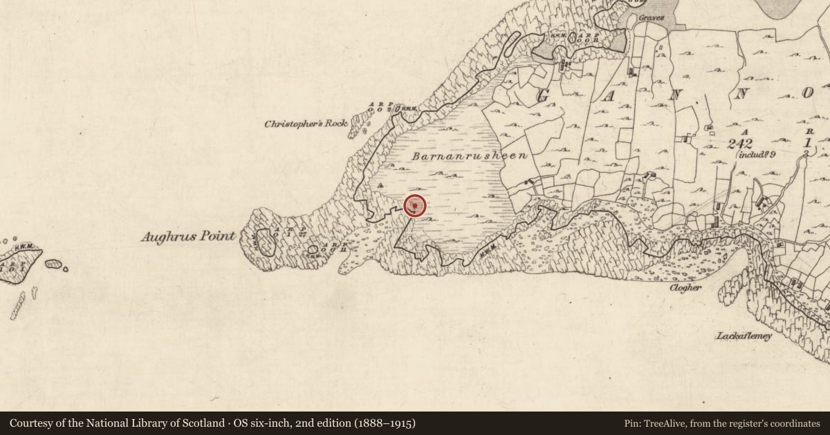 Ordnance Survey six-inch map, 2nd edition (1888–1915) covering the location of Field boundary, Gannoughs, County Galway, with a pin at the register's coordinates