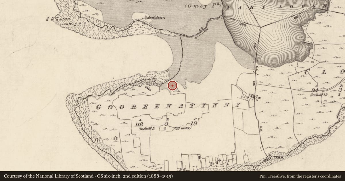 Ordnance Survey six-inch map, 2nd edition (1888–1915) covering the location of Midden, Gooreenatinny, County Galway, with a pin at the register's coordinates