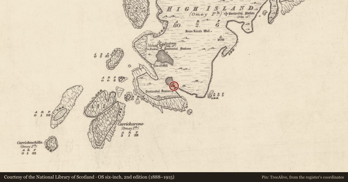 Ordnance Survey six-inch map, 2nd edition (1888–1915) covering the location of Enclosure, High Island, County Galway, with a pin at the register's coordinates