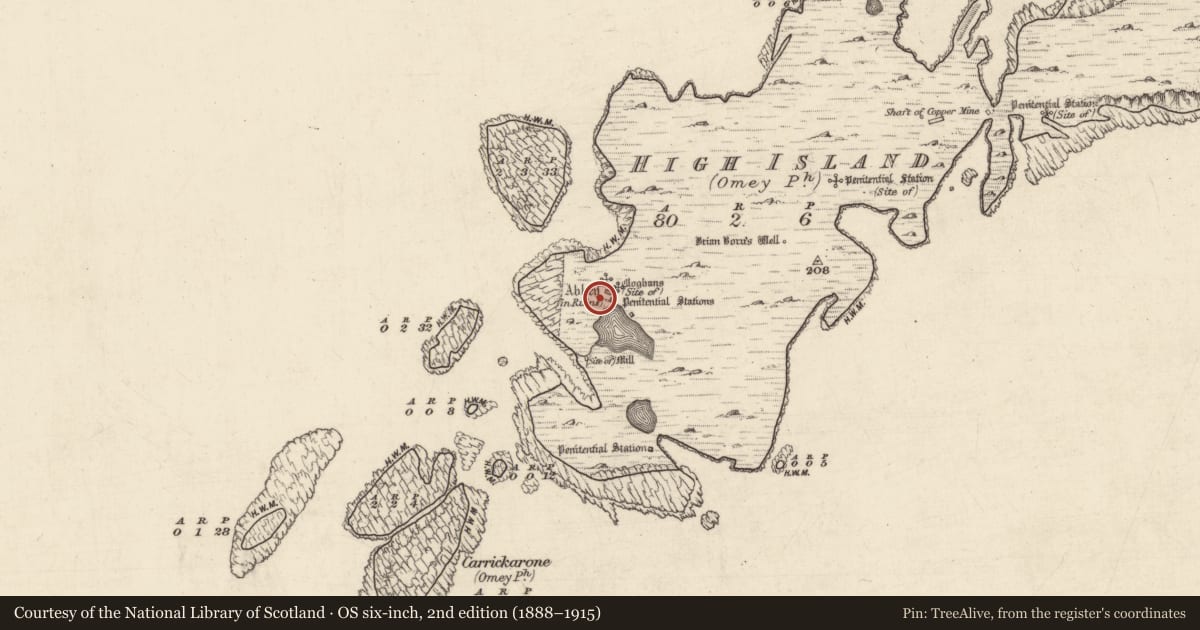 Ordnance Survey six-inch map, 2nd edition (1888–1915) covering the location of Enclosure, High Island, County Galway, with a pin at the register's coordinates