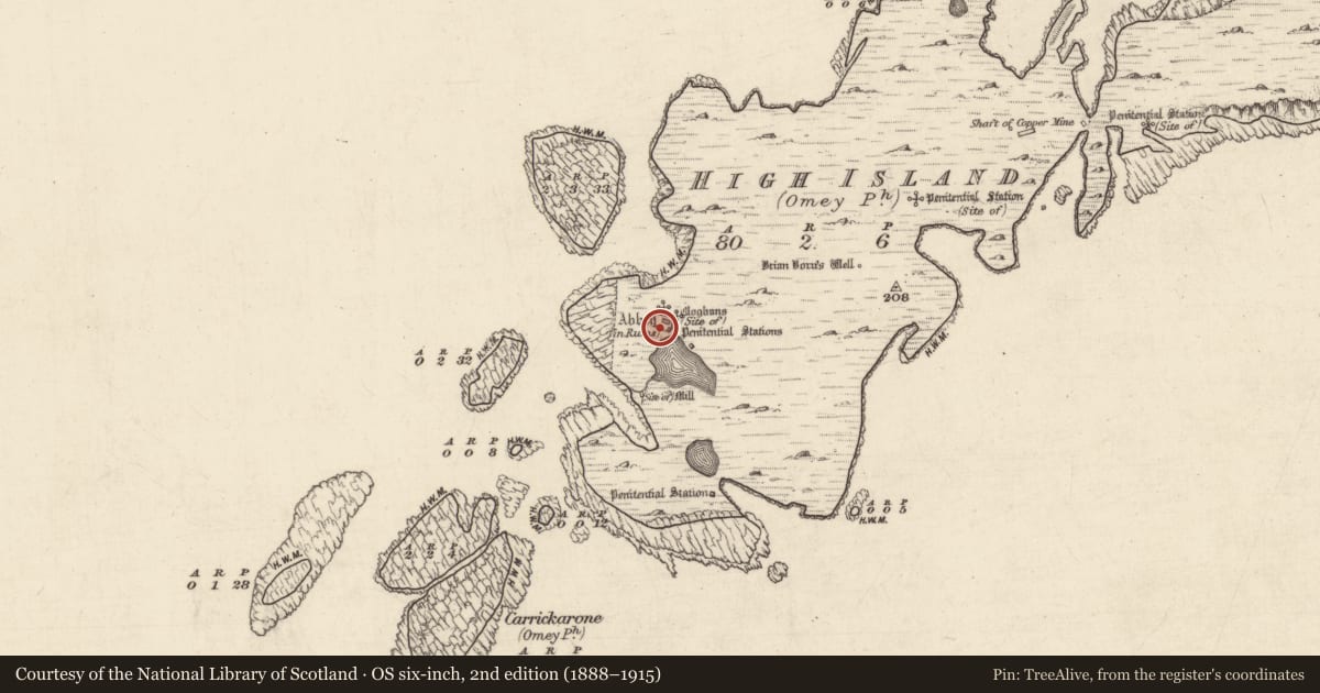 Ordnance Survey six-inch map, 2nd edition (1888–1915) covering the location of Cross-slab, High Island, County Galway, with a pin at the register's coordinates