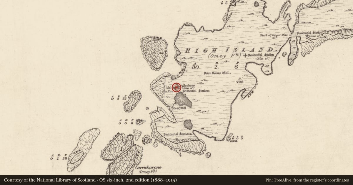 Ordnance Survey six-inch map, 2nd edition (1888–1915) covering the location of Cross-slab, High Island, County Galway, with a pin at the register's coordinates