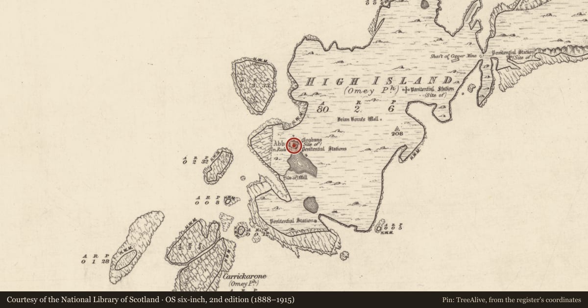 Ordnance Survey six-inch map, 2nd edition (1888–1915) covering the location of Cross-slab, High Island, County Galway, with a pin at the register's coordinates