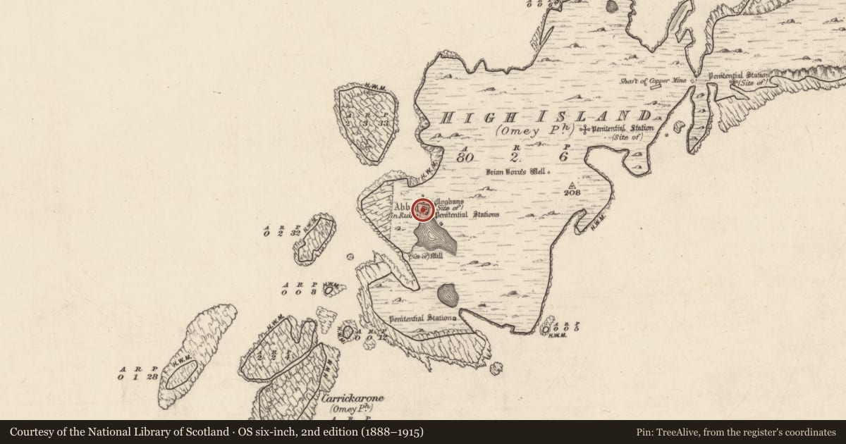 Ordnance Survey six-inch map, 2nd edition (1888–1915) covering the location of Cross-slab, High Island, County Galway, with a pin at the register's coordinates