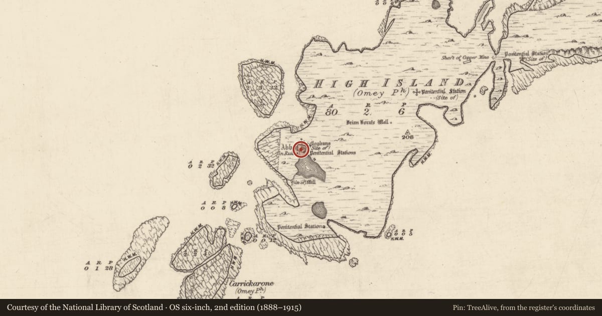 Ordnance Survey six-inch map, 2nd edition (1888–1915) covering the location of Leacht, High Island, County Galway, with a pin at the register's coordinates