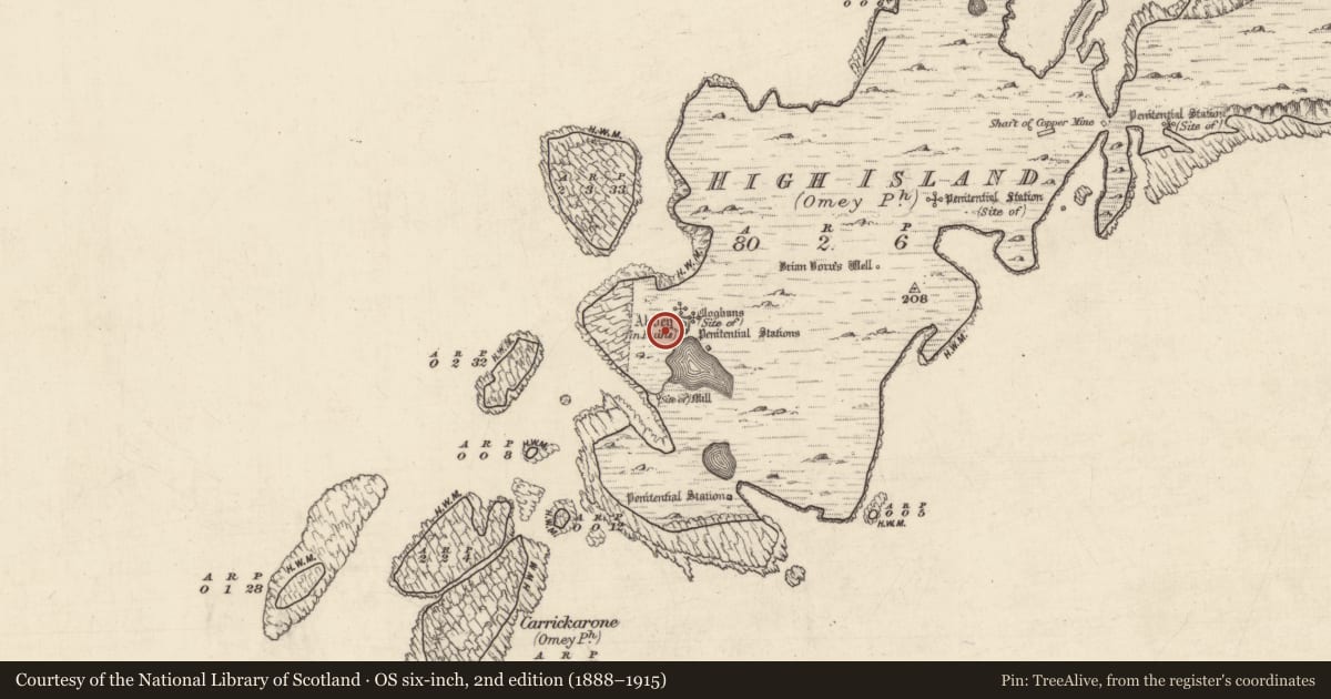 Ordnance Survey six-inch map, 2nd edition (1888–1915) covering the location of Leacht, High Island, County Galway, with a pin at the register's coordinates