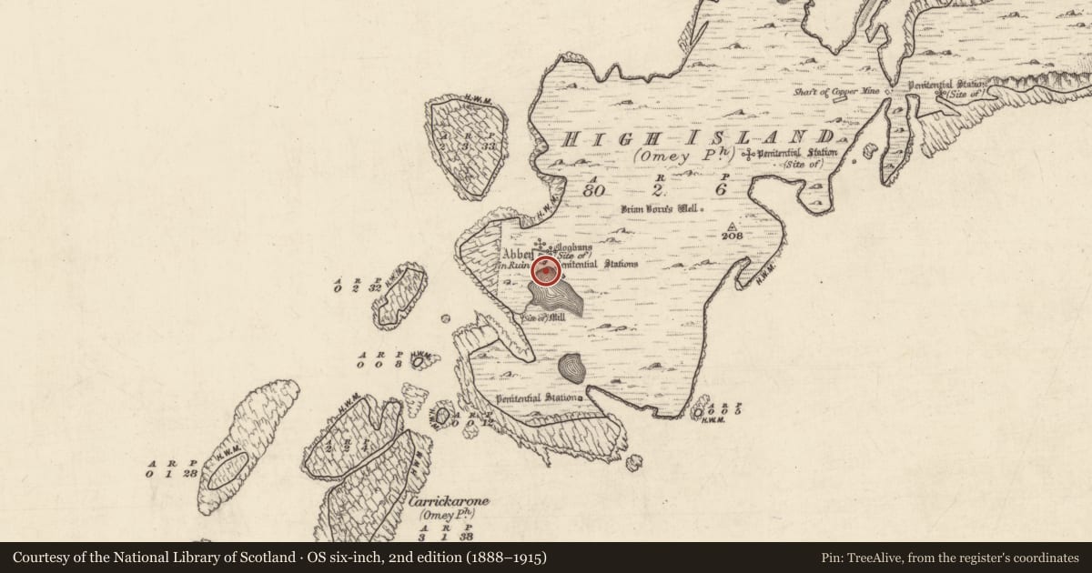 Ordnance Survey six-inch map, 2nd edition (1888–1915) covering the location of Leacht, High Island, County Galway, with a pin at the register's coordinates