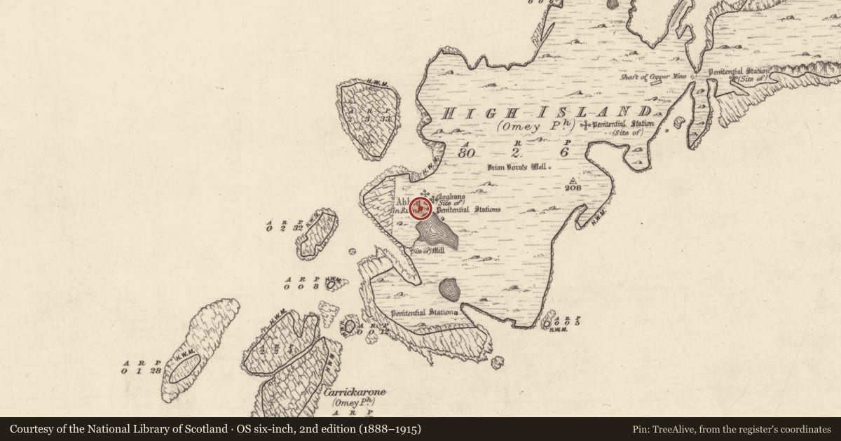 Ordnance Survey six-inch map, 2nd edition (1888–1915) covering the location of Cross-slab, High Island, County Galway, with a pin at the register's coordinates